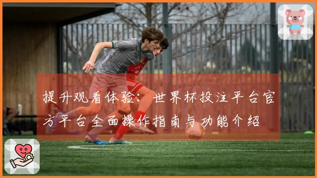 提升观看体验：世界杯投注平台官方平台全面操作指南与功能介绍