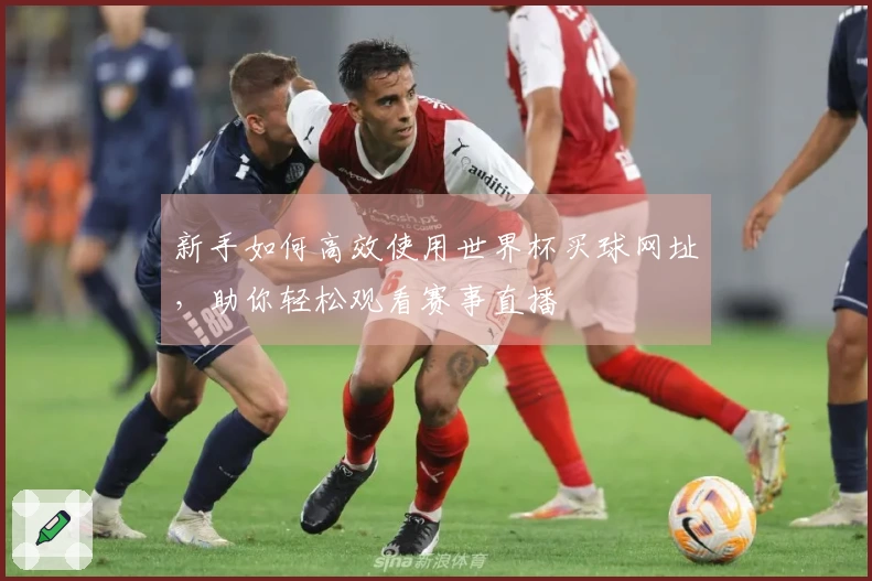 新手如何高效使用世界杯买球网址,助你轻松观看赛事直播