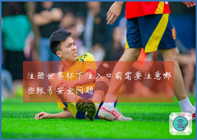 注册世界杯下注入口前需要注意哪些账号安全问题