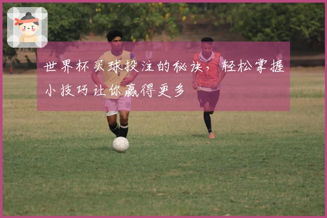世界杯买球投注的秘诀，轻松掌握小技巧让你赢得更多