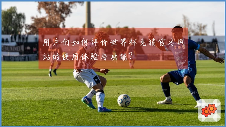 用户们如何评价世界杯竞猜官方网站的使用体验与功能？