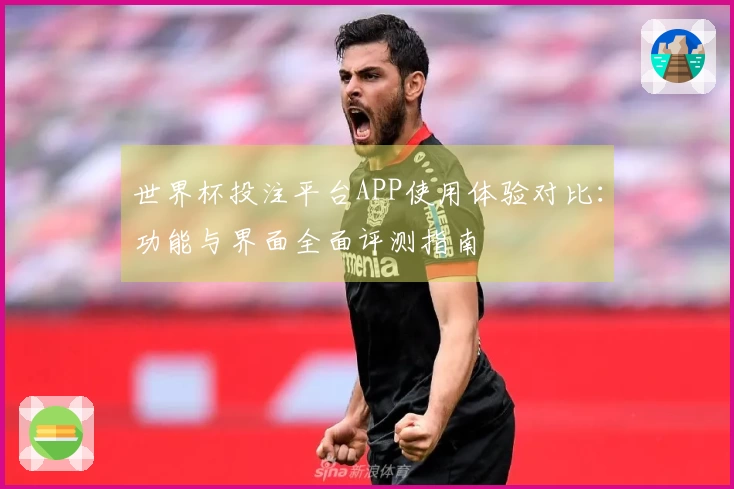 世界杯投注平台APP使用体验对比：功能与界面全面评测指南
