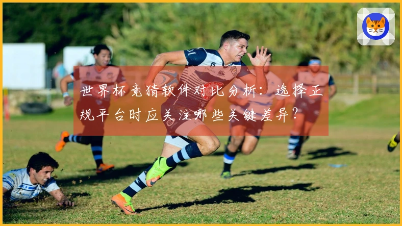 世界杯竞猜软件对比分析：选择正规平台时应关注哪些关键差异？