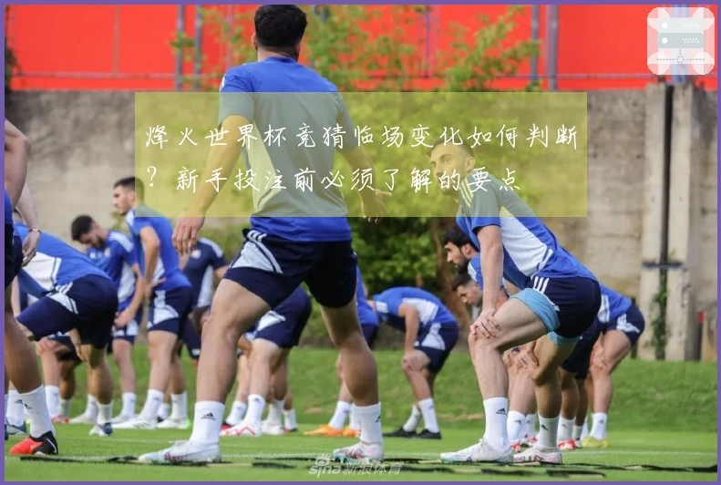 烽火世界杯竞猜临场变化如何判断？新手投注前必须了解的要点