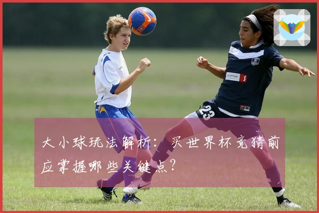 大小球玩法解析:买世界杯竞猜前应掌握哪些关键点?