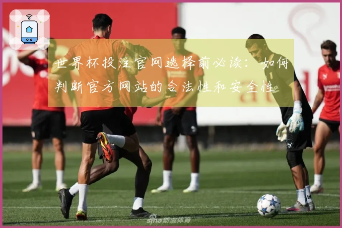 世界杯投注官网选择前必读：如何判断官方网站的合法性和安全性
