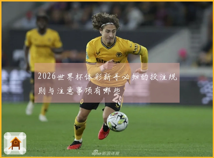 2026世界杯体彩新手必知的投注规则与注意事项有哪些