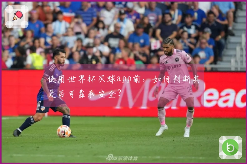 使用世界杯买球app前，如何判断其是否可靠和安全？