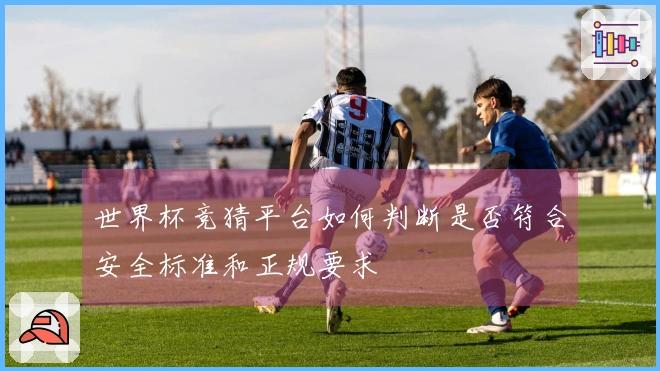 世界杯竞猜平台如何判断是否符合安全标准和正规要求
