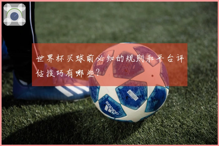 世界杯买球前必知的规则和平台评估技巧有哪些？
