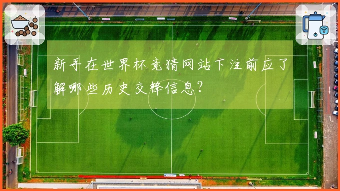 新手在世界杯竞猜网站下注前应了解哪些历史交锋信息？