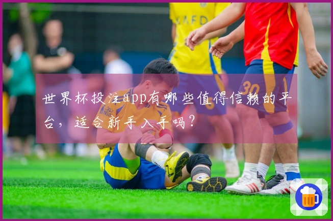 世界杯投注app有哪些值得信赖的平台，适合新手入手吗？