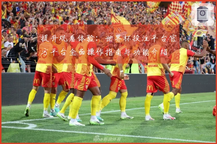 提升观看体验：世界杯投注平台官方平台全面操作指南与功能介绍