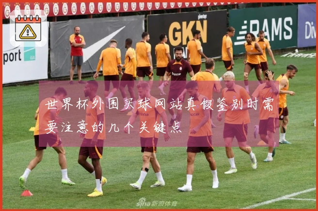 世界杯外围买球网站真假鉴别时需要注意的几个关键点
