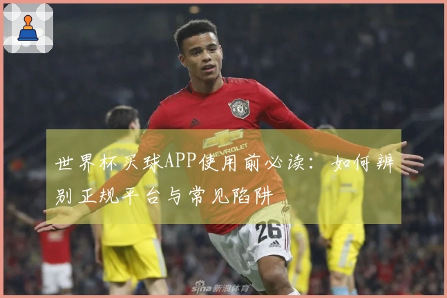 世界杯买球APP使用前必读:如何辨别正规平台与常见陷阱