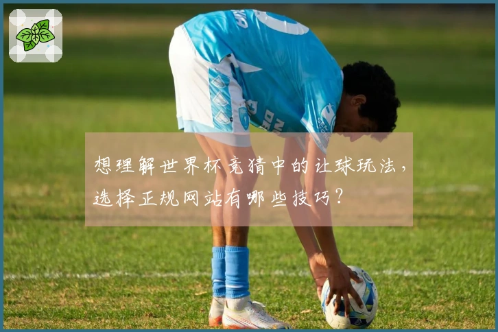 想理解世界杯竞猜中的让球玩法，选择正规网站有哪些技巧？