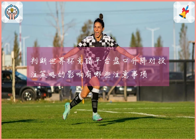 判断世界杯竞猜平台盘口升降对投注策略的影响有哪些注意事项