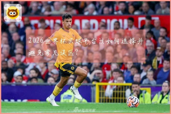 2026世界杯买球平台该如何选择并避免常见误区？