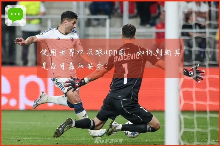 使用世界杯买球app前，如何判断其是否可靠和安全？