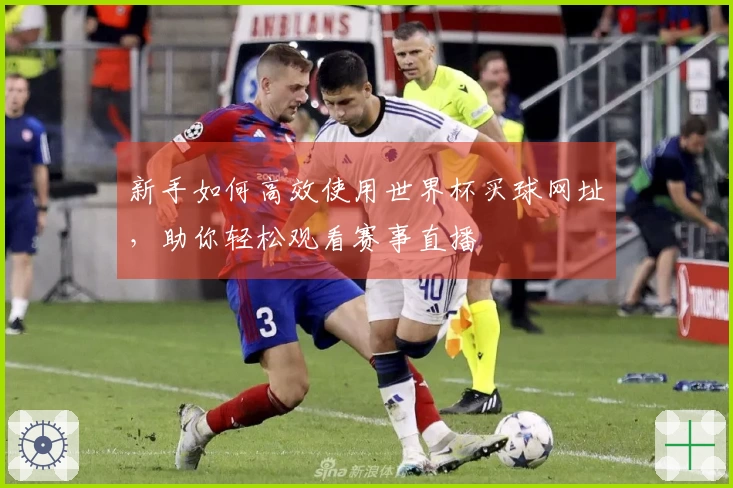 新手如何高效使用世界杯买球网址，助你轻松观看赛事直播