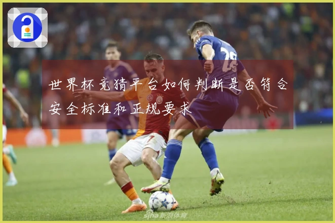 世界杯竞猜平台如何判断是否符合安全标准和正规要求