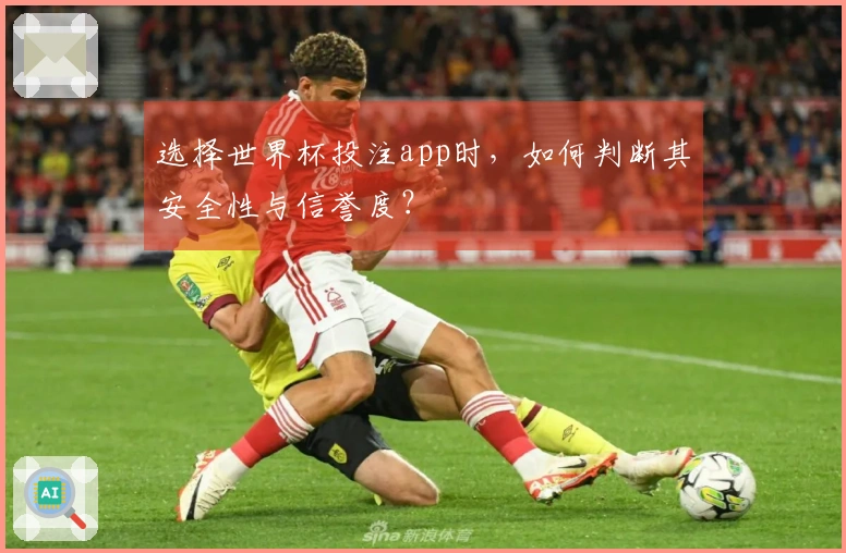 选择世界杯投注app时，如何判断其安全性与信誉度？