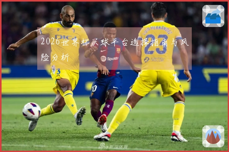 2026世界杯买球平台选择指南与风险分析