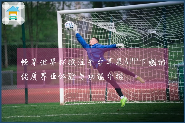 畅享世界杯投注平台苹果APP下载的优质界面体验与功能介绍