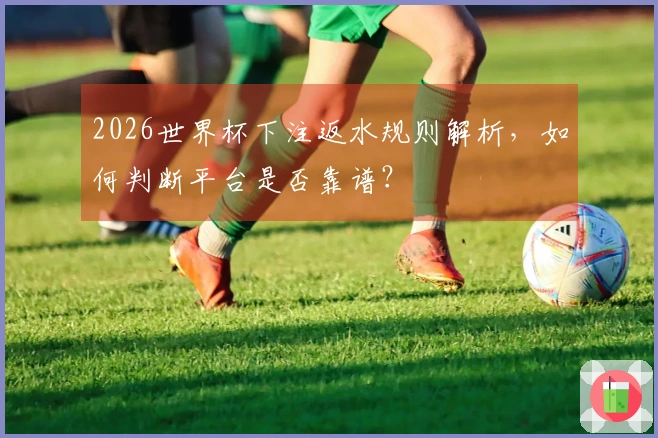 2026世界杯下注返水规则解析，如何判断平台是否靠谱？