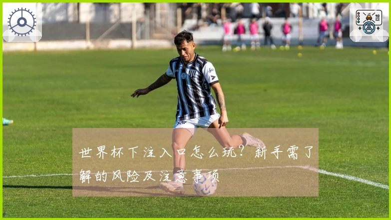 世界杯下注入口怎么玩？新手需了解的风险及注意事项
