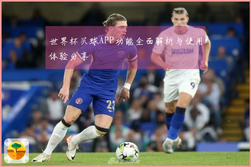 世界杯买球APP功能全面解析与使用体验分享