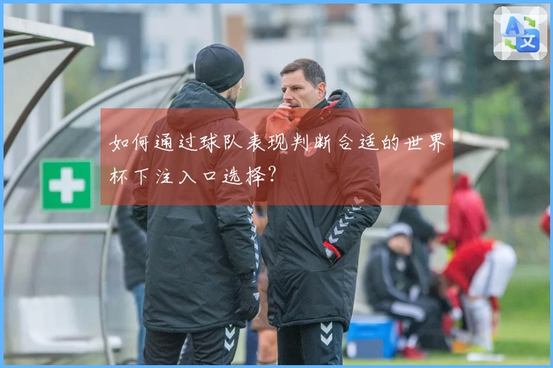 如何通过球队表现判断合适的世界杯下注入口选择？