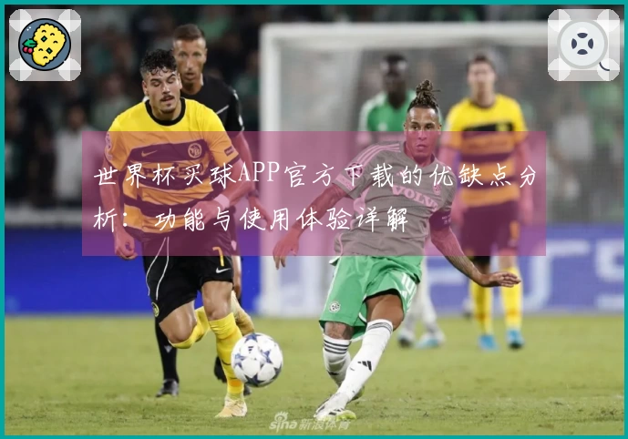 世界杯买球APP官方下载的优缺点分析：功能与使用体验详解